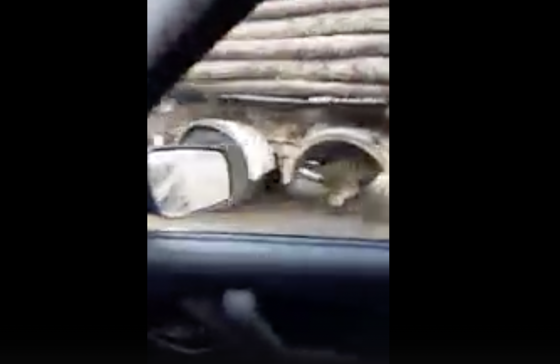 Сыктывкарцы засняли лесовоз, который мчался по трассе без колеса