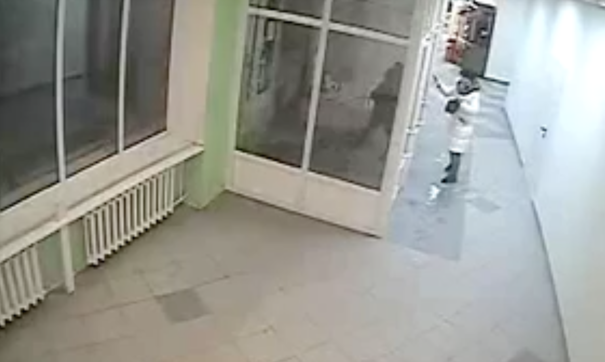 Стали известны подробности нападения на женщину в торговом центре Сыктывкара