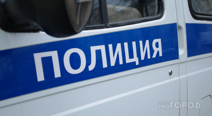 Полиция Сыктывкара ищет водителя, который звал детей в машину