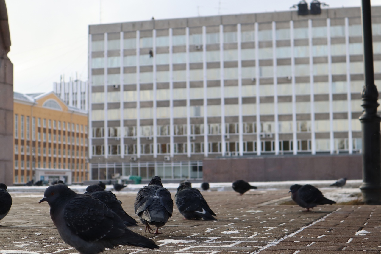 Овнов ждет испытание, а Стрельцов - перемены: гороскоп на 2 ноября