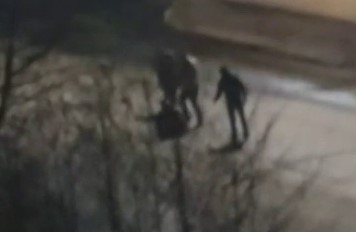 В Сыктывкаре возле "наливайки" несколько человек избили мужчину