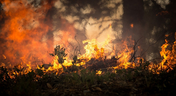 В Сыктывкаре вводится особый противопожарный режим