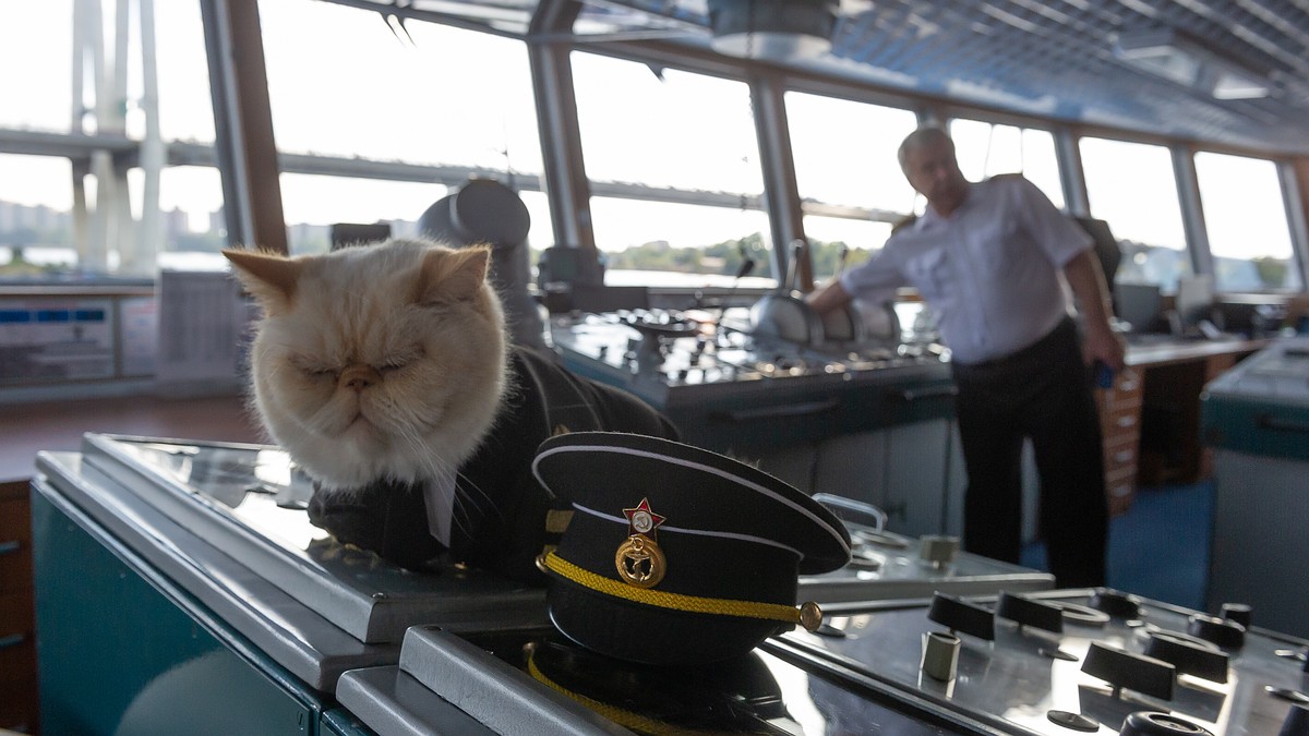 В Коми ищут "морского волка", который станет помощником капитана за 160 тысяч рублей
