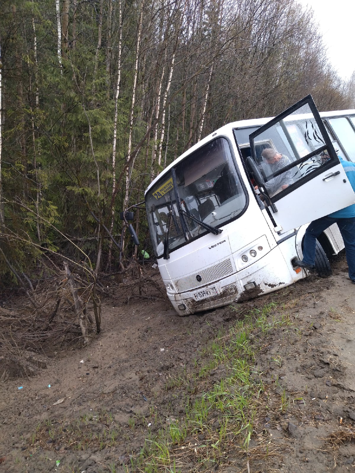 "Вылезали по одному": пассажирка автобуса, который вылетел в кювет, рассказала о ДТП