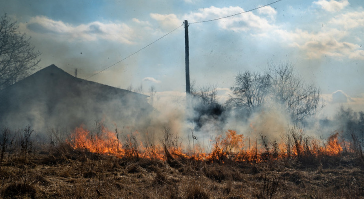 В Коми объявлен особый противопожарный режим