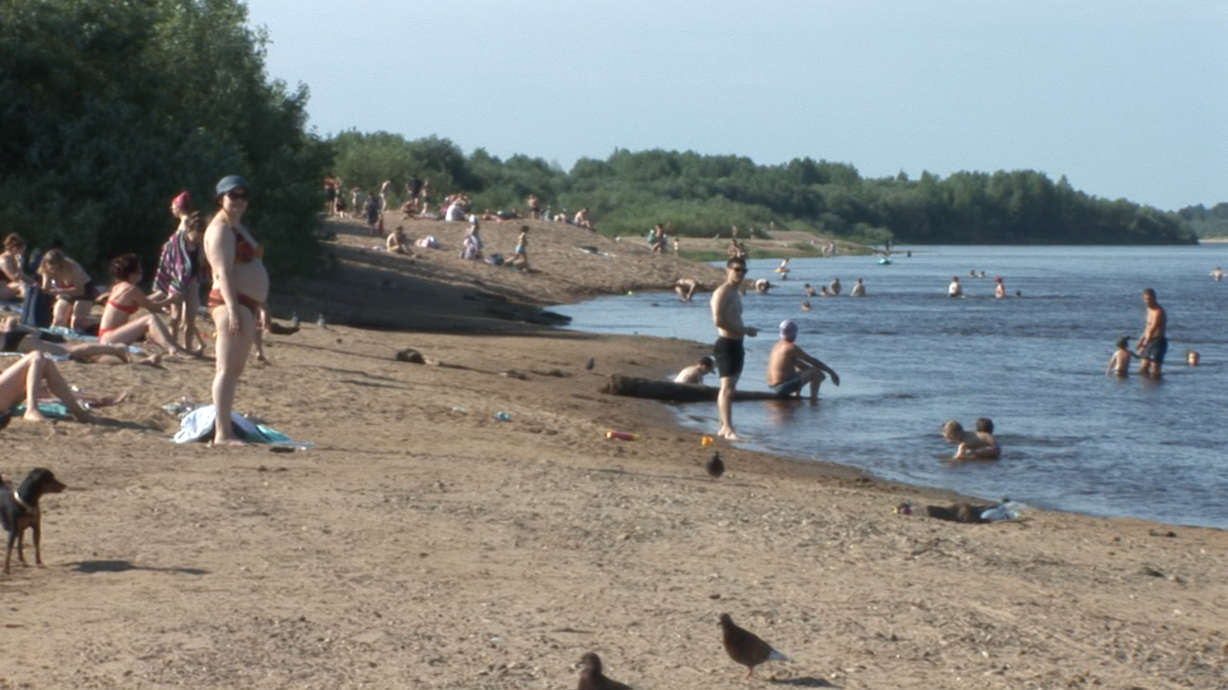 “Мне уже нечего бояться”: сыктывкарцы рассказали, почему они купаются на "закрытых" пляжах
