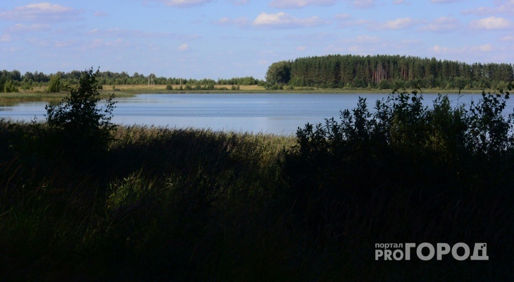 Синоптики рассказали, продержится ли жара на выходных в Коми