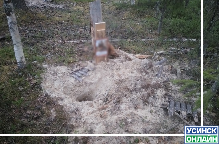 В Усинске медведь раскопал могилы домашних животных