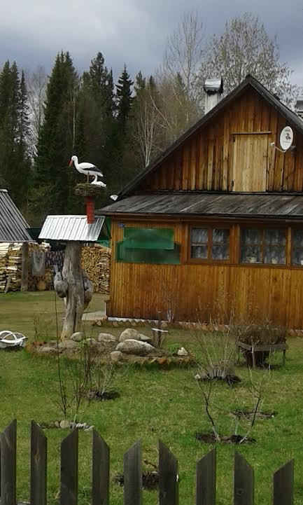 Россияне смогут купить дачу в ипотеку под 3%