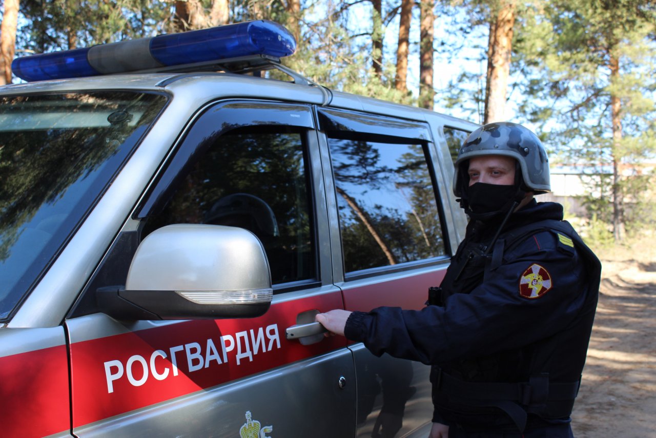 Росгвардия изъяла у жителей Коми больше десятка единиц оружия