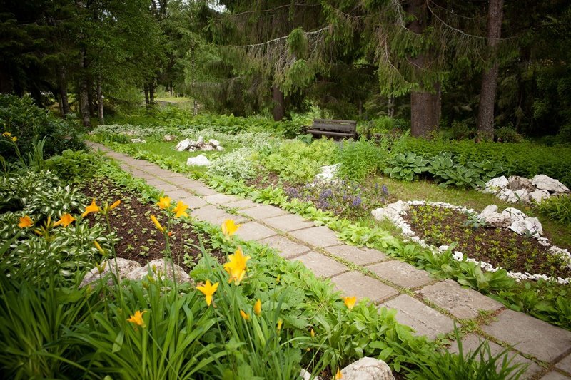 В Сыктывкаре хотят построить новую школу на участке, который выставили на продажу 