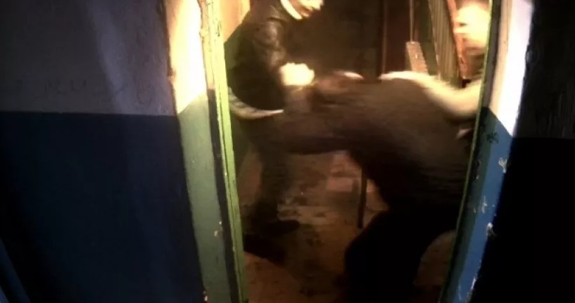 Жителя Коми похитили, избили и заставили рыть себе могилу