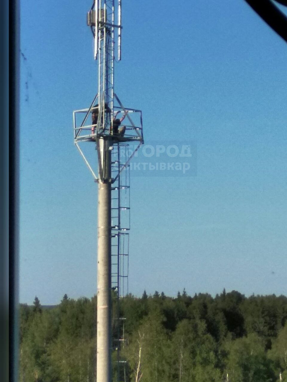 В Сыктывкаре подростки залезли на многометровую вышку и попали на видео