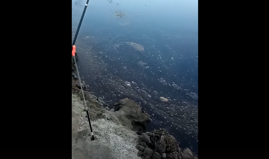 Жителей Коми напугала странная серая пена в реке