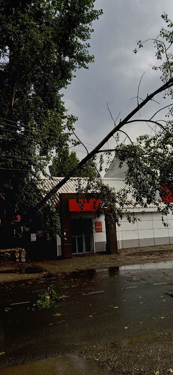 Из-за шторма один из районов Сыктывкара остался без электричества