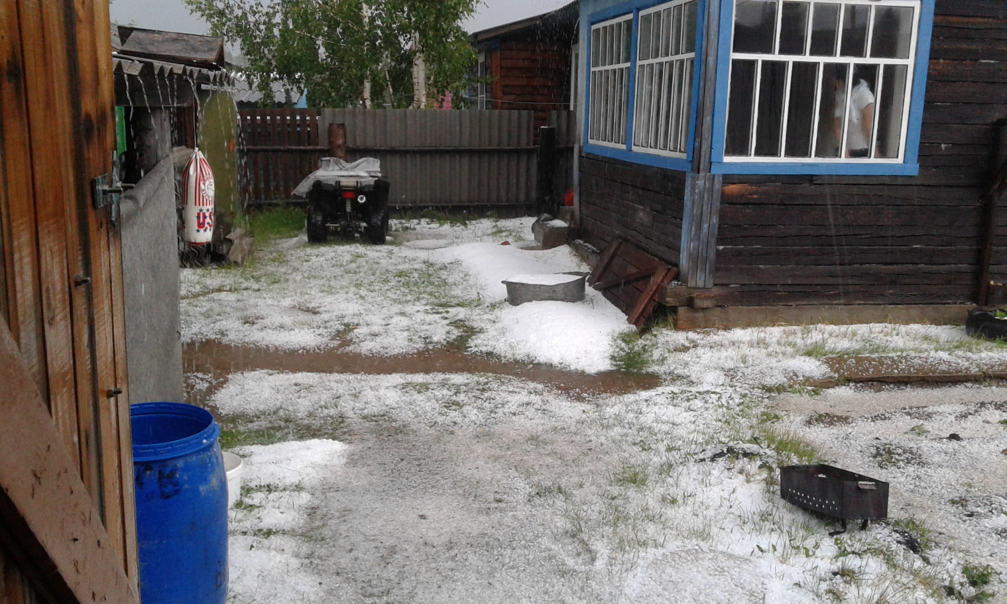 Жителям Коми рассказали, как спасти побитый градом и ливнями урожай