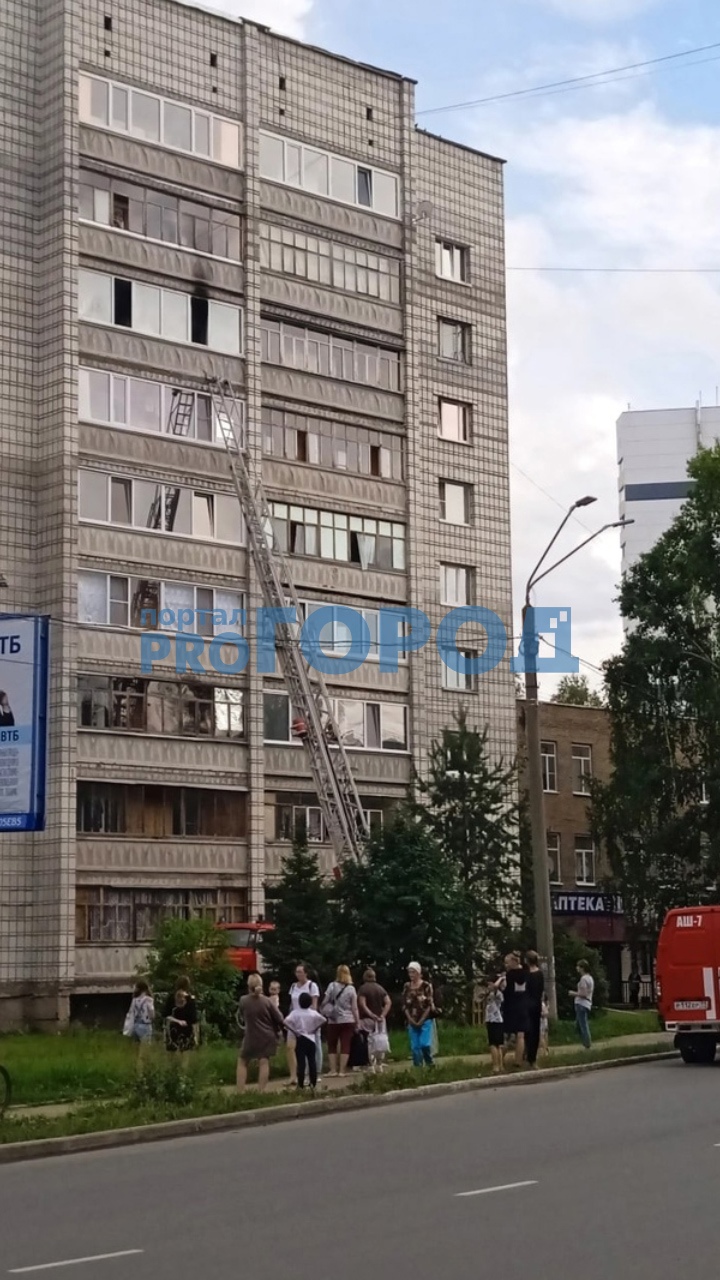 “Спасались вместе с животными”: сыктывкарка рассказала подробности пожара на Пушкина