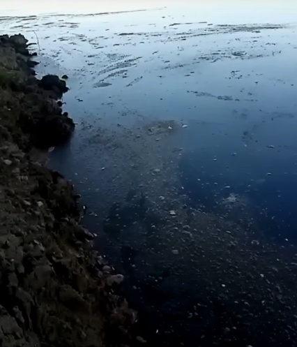 Вычегду проверили из-за странной пены на поверхности