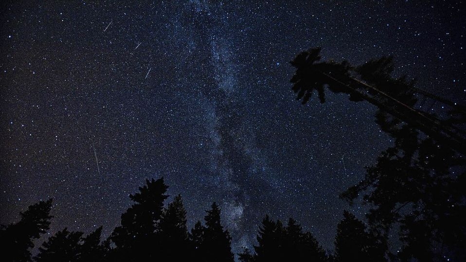 Какие дни будут самыми тяжелыми: гороскоп от Тамары Глобы на август 2022 года