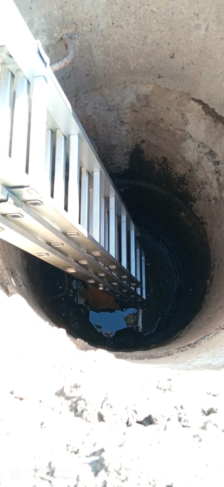 Сыктывкарские спасатели достали из колодца собаку