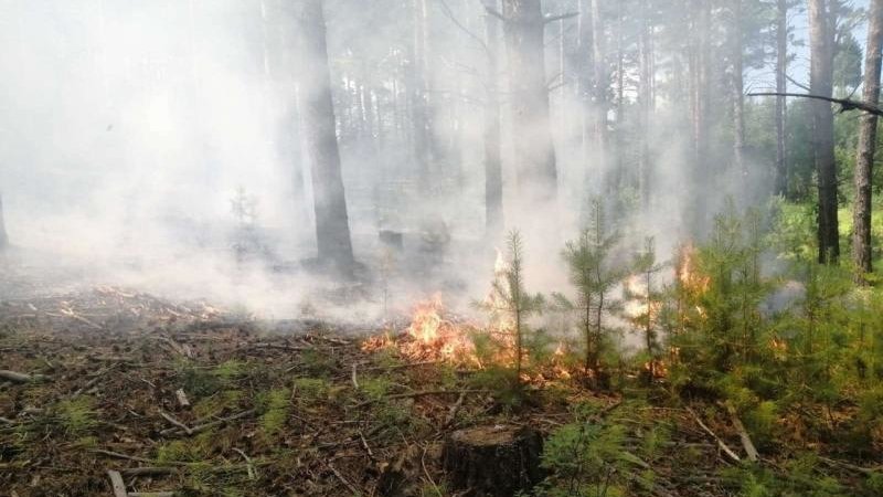 Дым от пожаров в Коми окутал Усинск