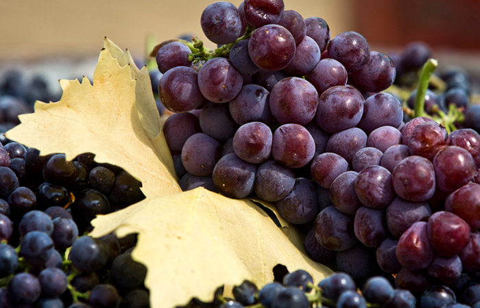 Диетолог рассказала, кому опасно есть виноград