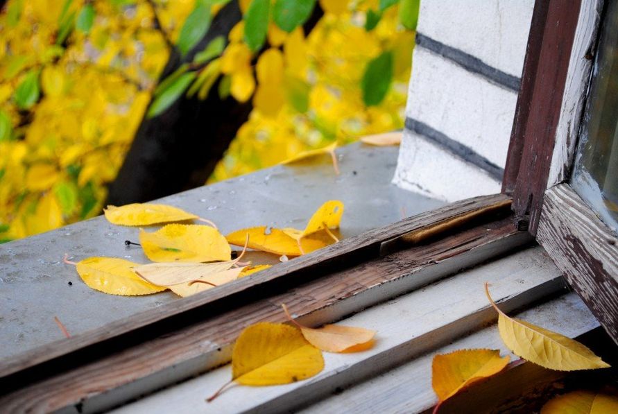 Синоптики дали прогноз погоды на 6 сентября в Коми и Сыктывкаре