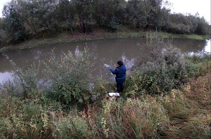 В Коми продолжают расследование массовой гибели рыбы в реке Човью