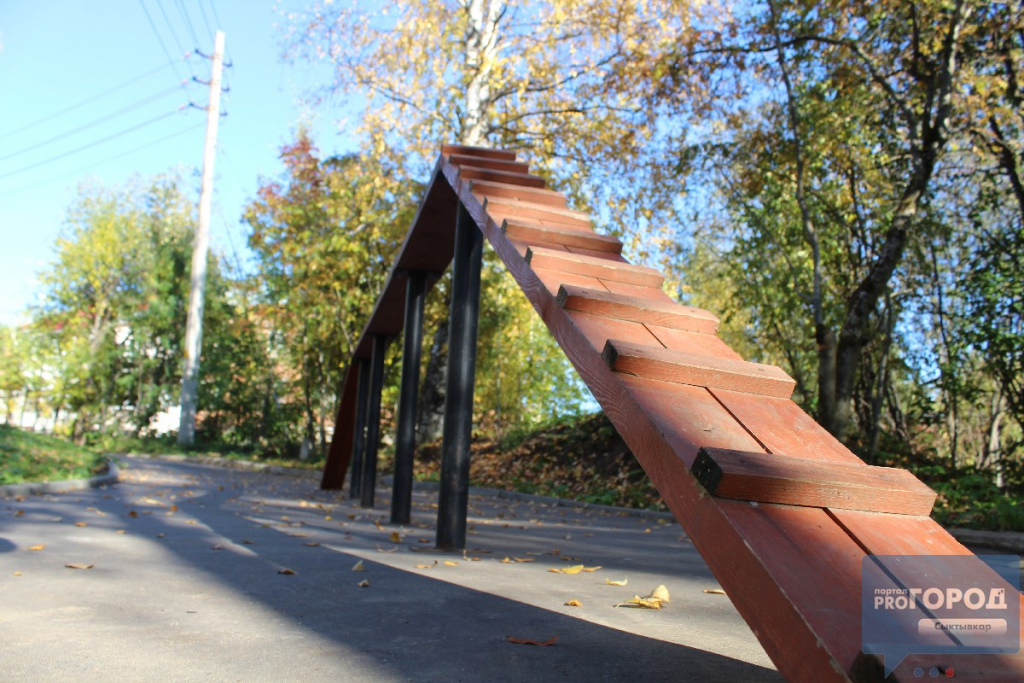 В Сыктывкаре обустроят площадку для выгула собак