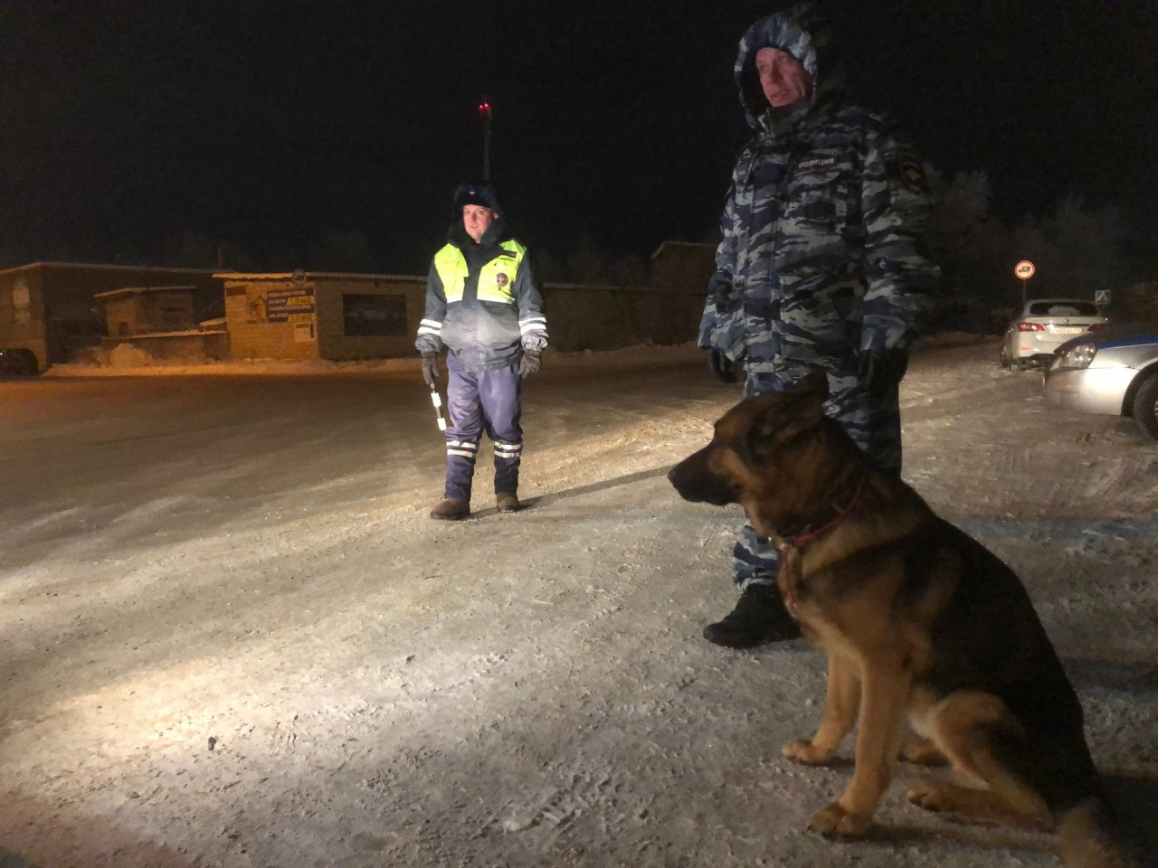 В Коми немецкая овчарка Найс помогла раскрыть преступление