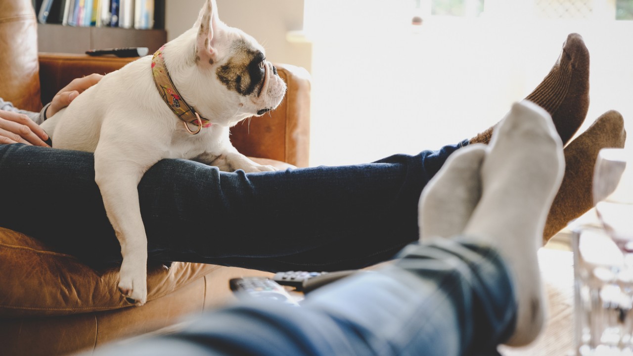 Овны отдыхают, Козероги карабкаются вверх по лестнице: гороскоп на 10 октября 