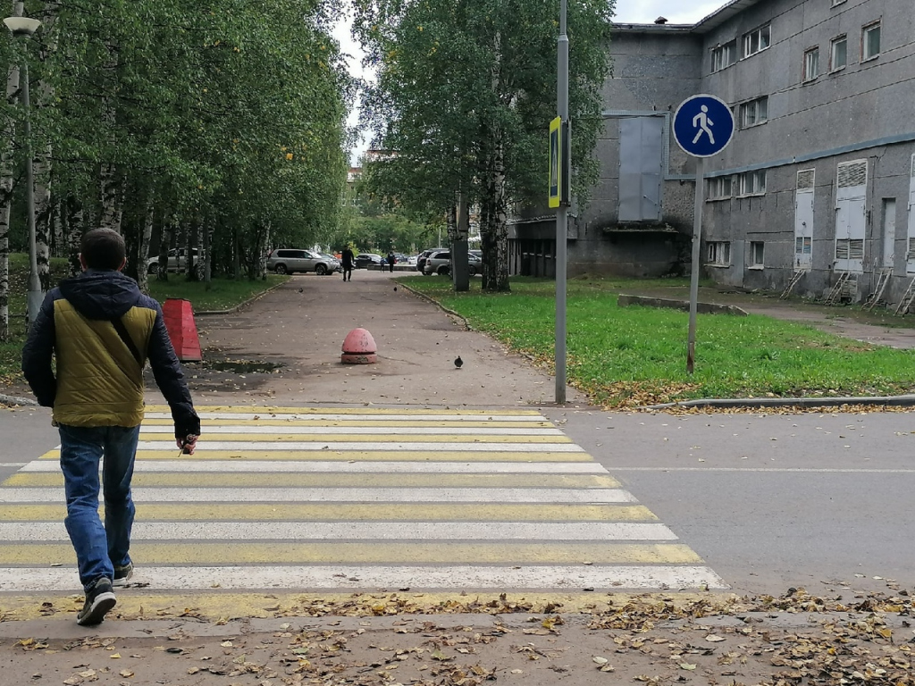 Коми нужно 44 миллиона рублей на обустройство пешеходных переходов