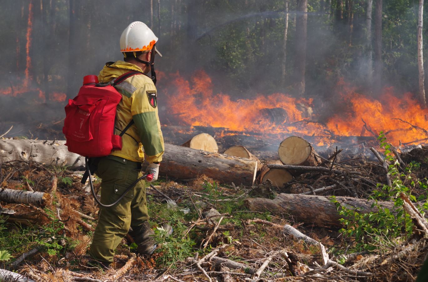 Жителям Коми, которые тушат лесные пожары, выделили 9,5 миллиона рублей