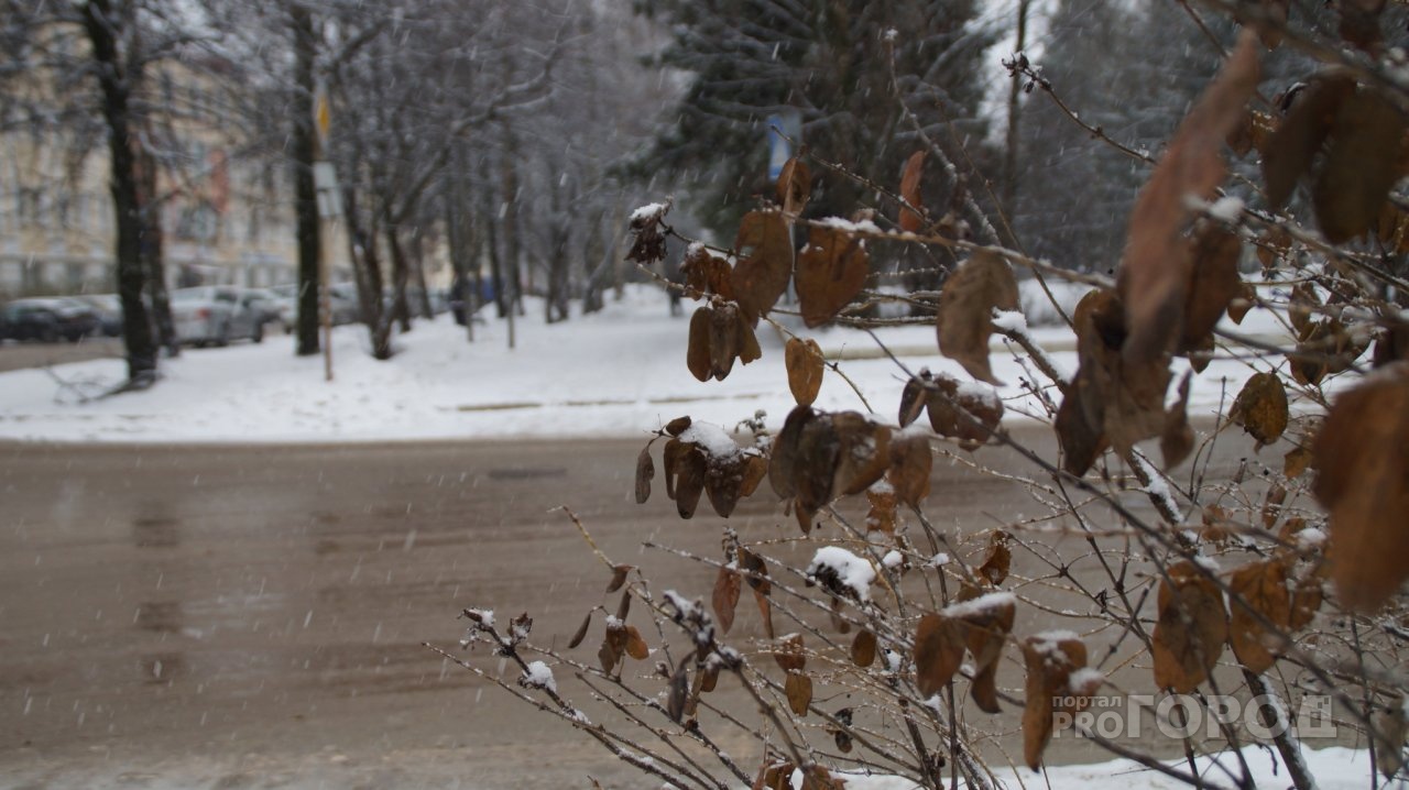 На улице будет слякоть: в Сыктывкаре на выходных синоптики обещают мокрый снег с дождем
