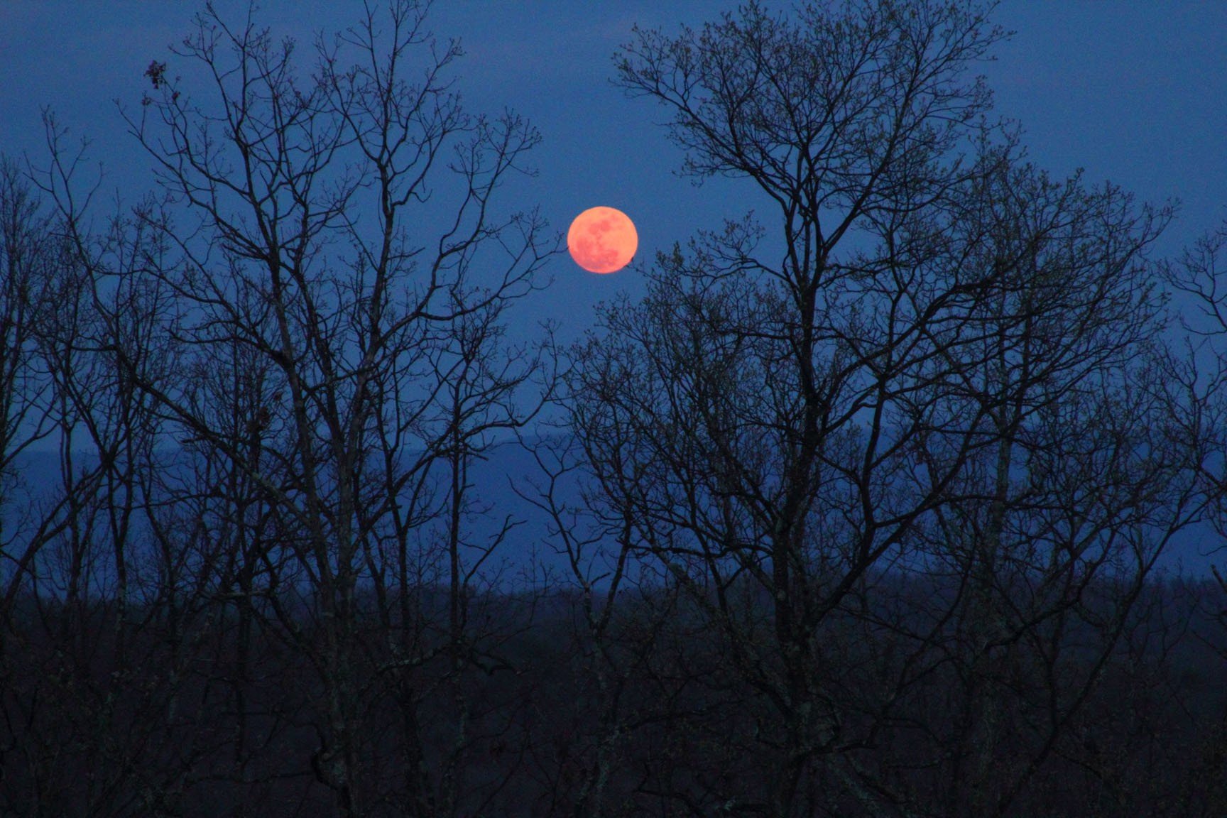 Синоптики рассказали, можно ли будет увидеть лунное затмение в Коми