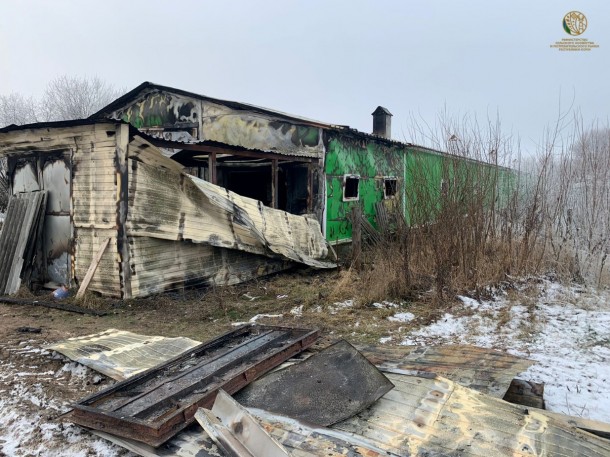 Выяснилась причина пожара, который убил 75 коров на ферме в Коми