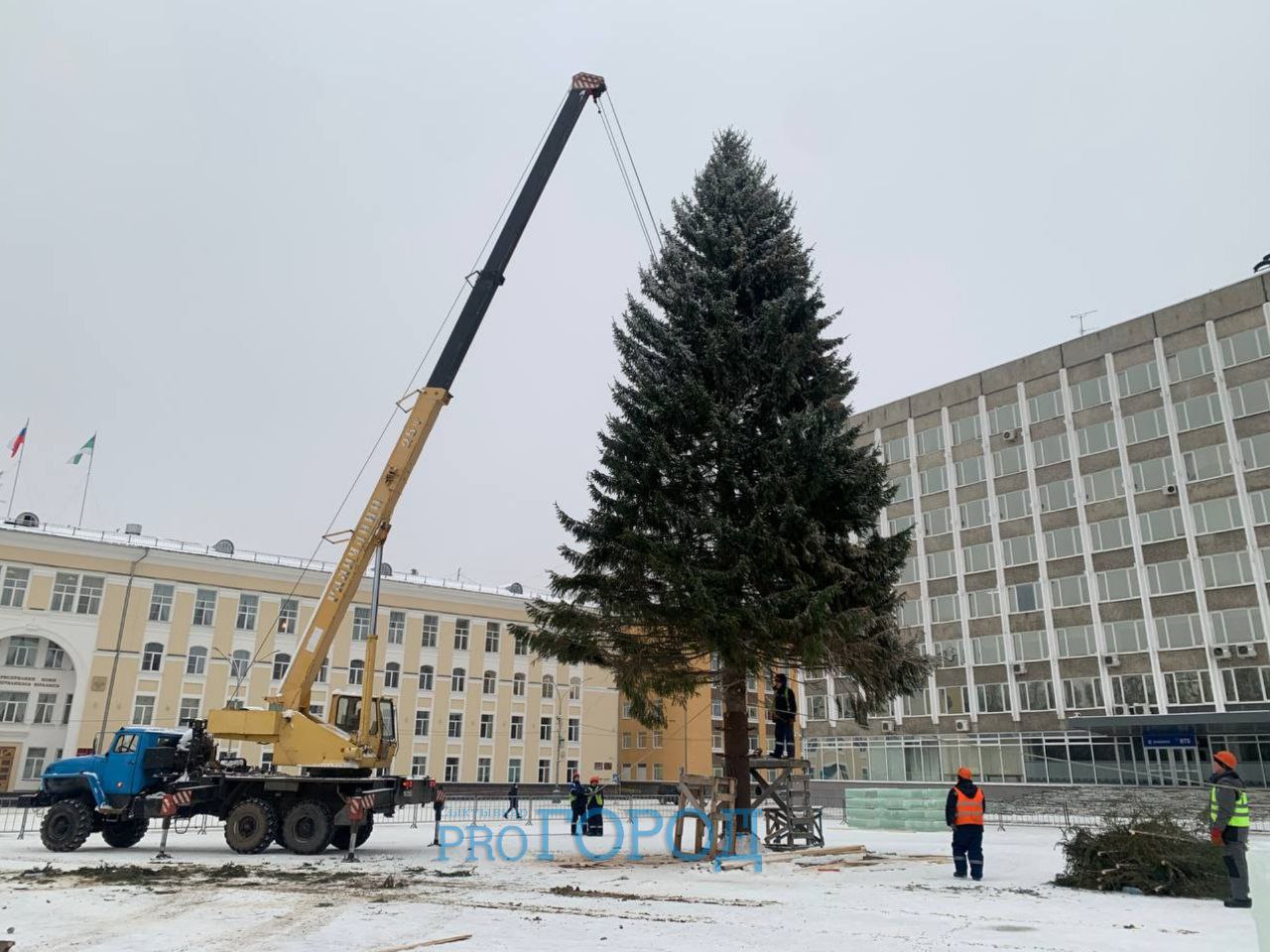На площади в Сыктывкаре установили главную елку