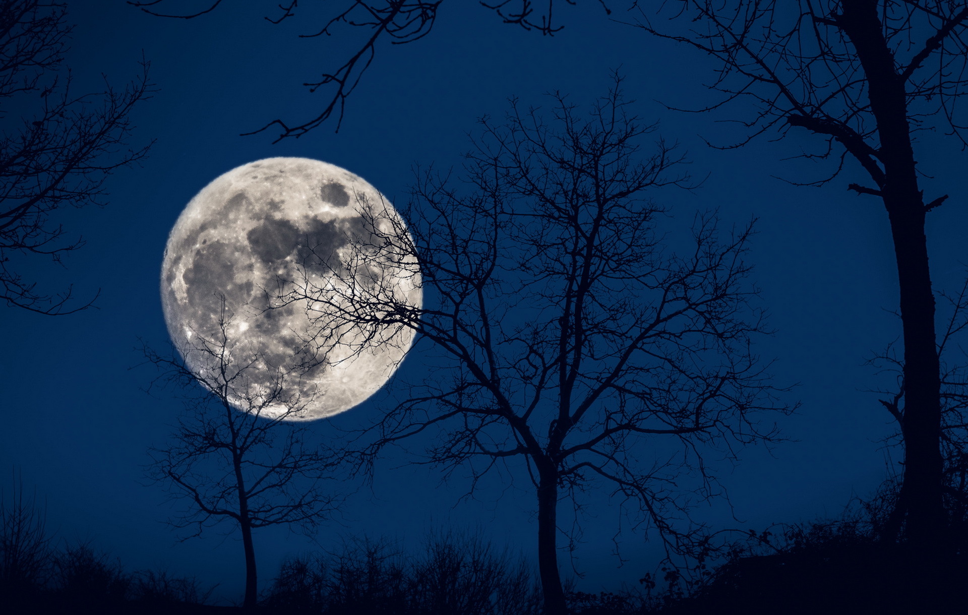 Moon in the day. Луна. Ночь Луна. Лунный пейзаж. Красивая Луна.