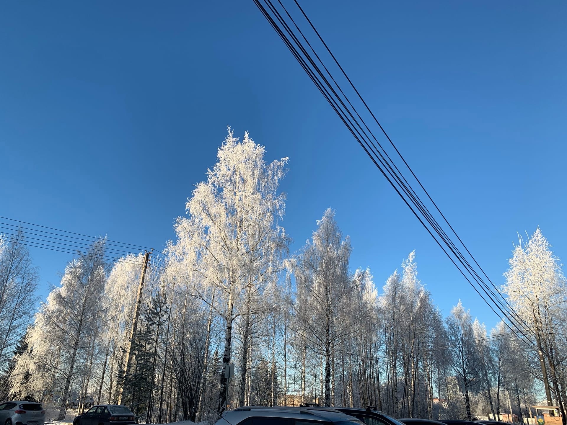 В северных районах Коми отменили занятия для учеников младших классов