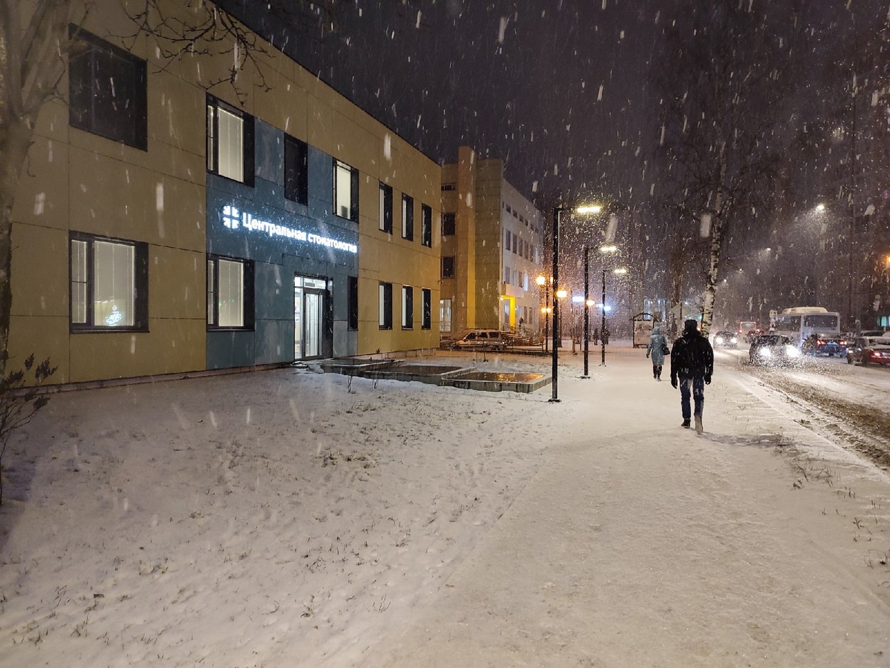 Коми накроют снегопады: синоптики дали прогноз на 12 января
