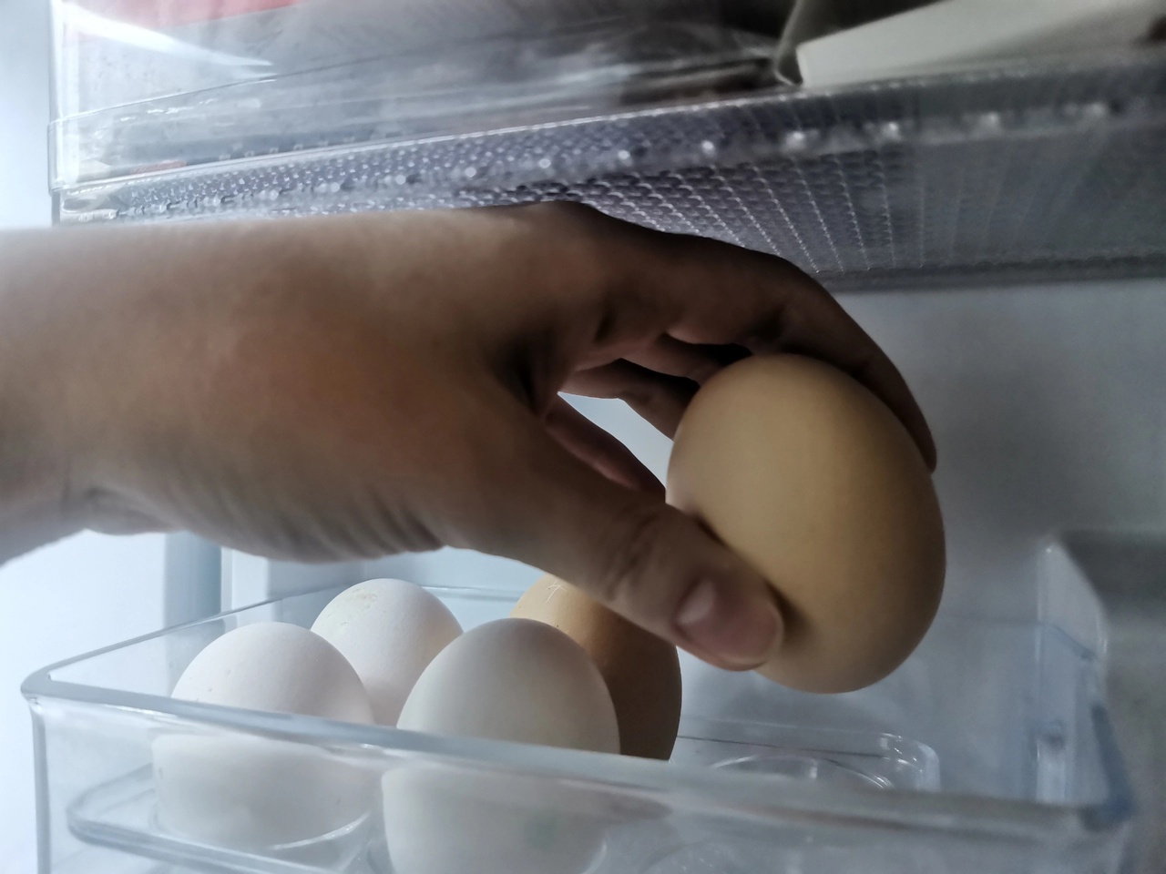 Архангельский Роспотребнадзор назвал яйца из Коми опасными: птицефабрика с этим несогласна