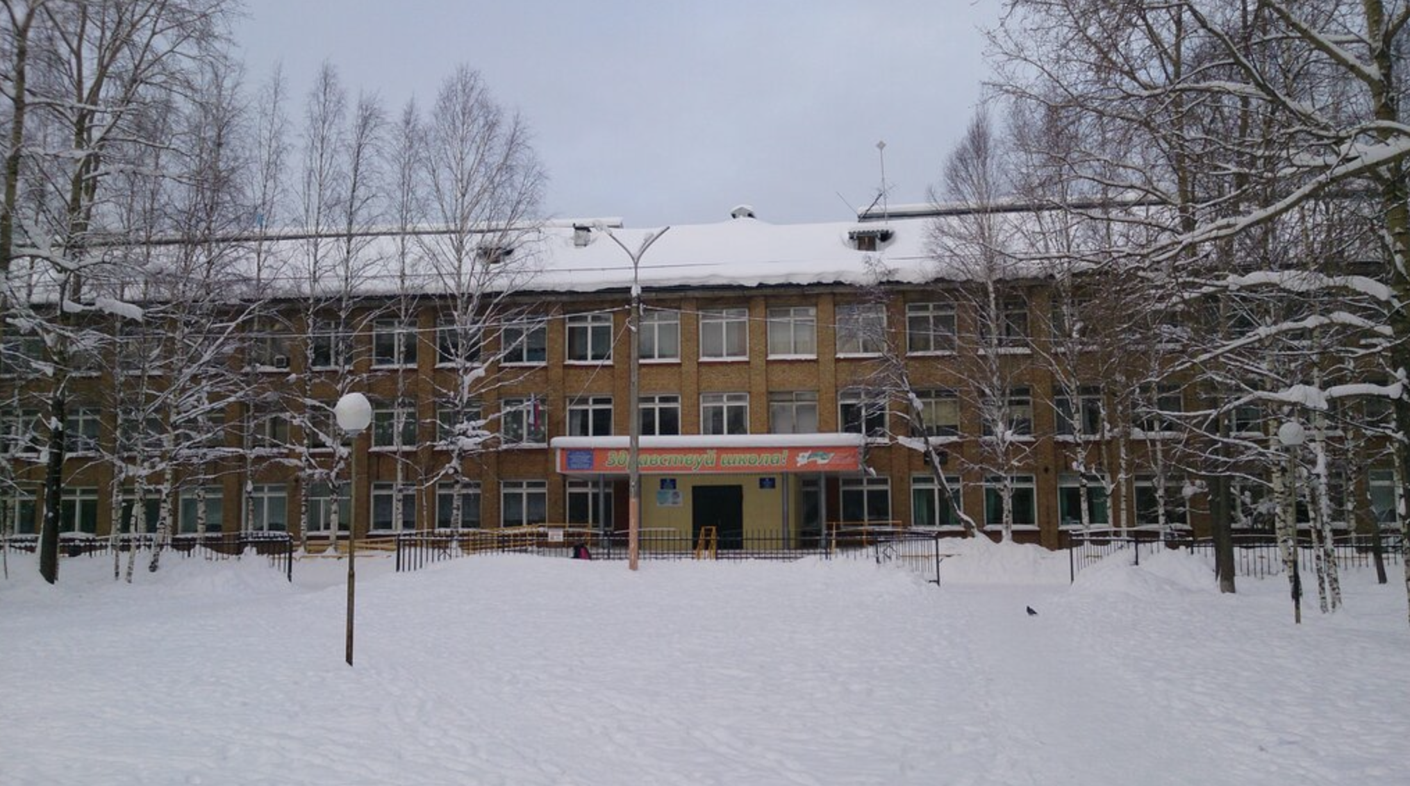 В Сыктывкаре появится два новых сквера