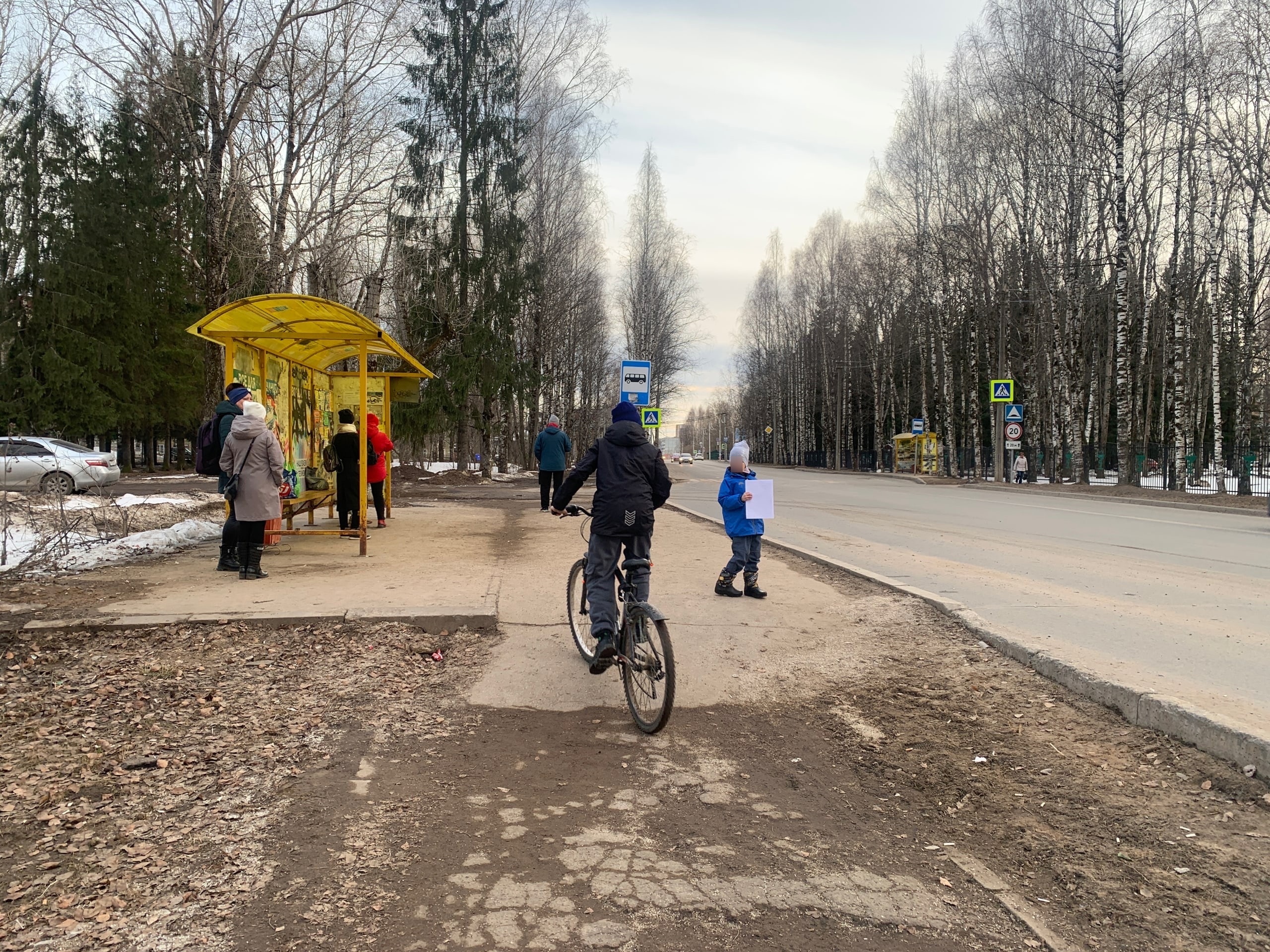 Тепло, дождливо и туманно: погода в Коми на 20 апреля