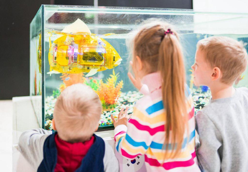 В Сыктывкар едут знаменитая робособака, самый гибкий робот в мире и “летающие пиксели”