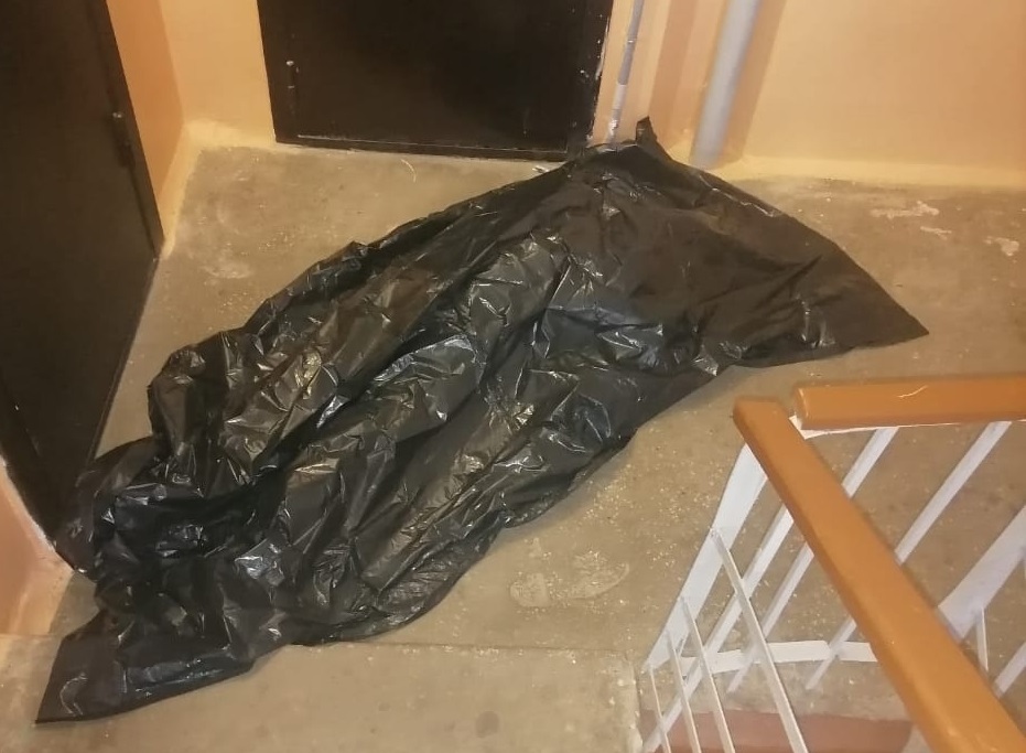 В Коми в подъезде дома обнаружили труп