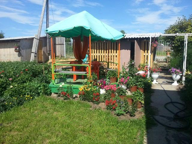 Любителей поехать на дачу с шашлыками могут сурово наказать