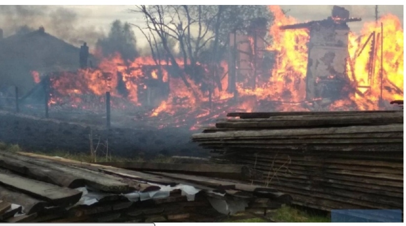 В Коми ликвидированы все лесные пожары на 23 мая