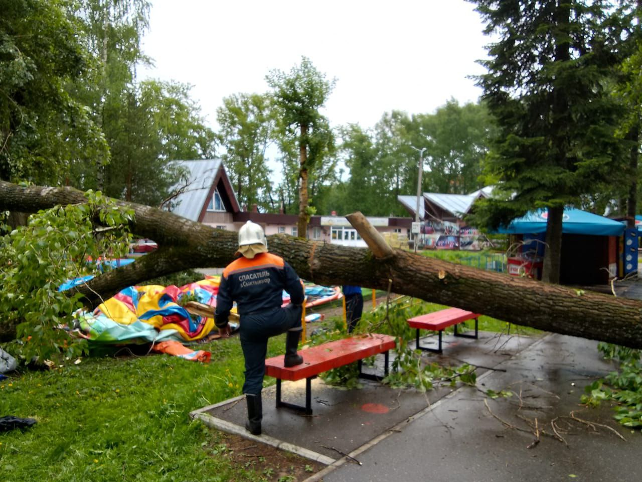Последствия грозы в Сыктывкаре: на авто падали деревья, опоры ЛЭП и светофоры