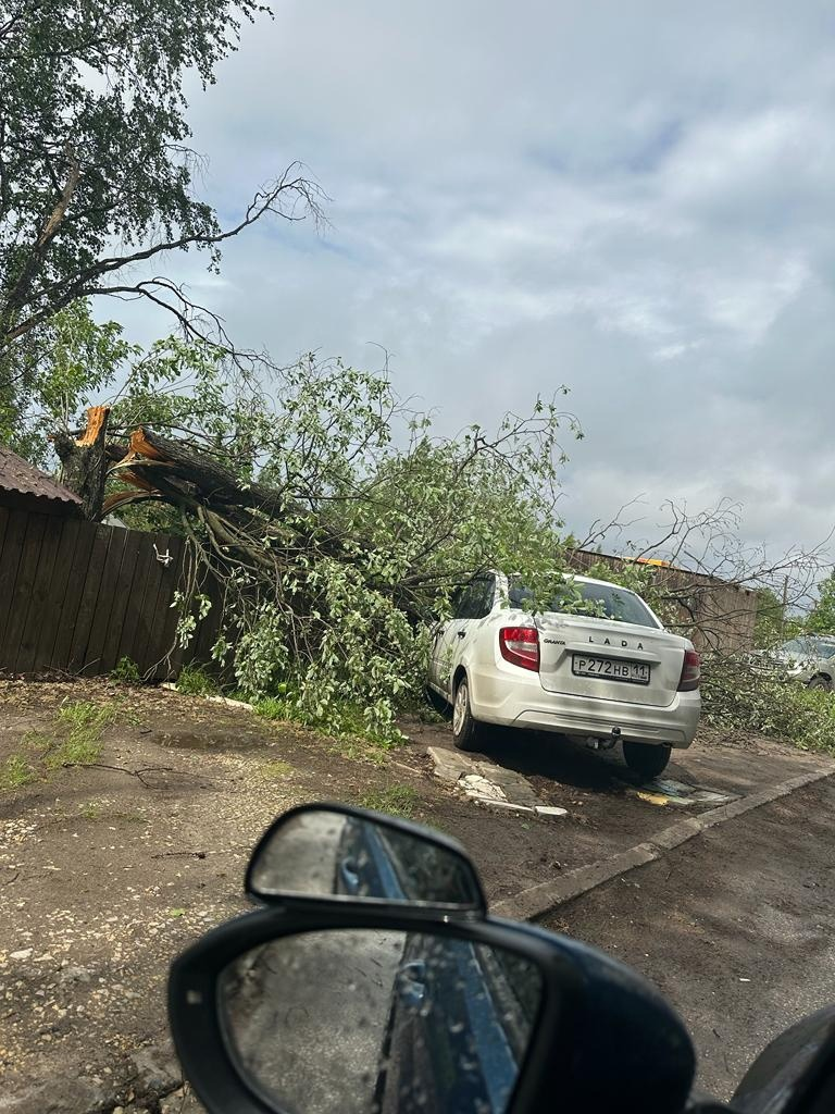 Выяснилось, пострадал ли кто-то из-за грозы в Сыктывкаре