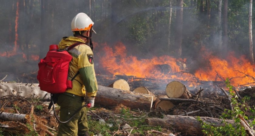В Коми почти все лесные пожары потушили в первые сутки